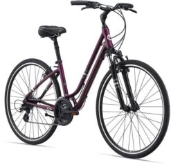 Giant Flourish FS 1 2021 -Giant 1Ox0M6 4vsrglrr6eC1lGGMx8