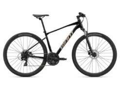 Giant Roam Disc 4 2023