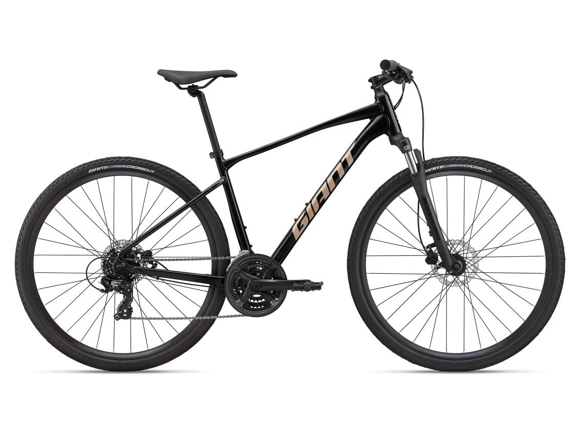 Giant Roam Disc 4 2023