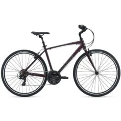 Giant Escape 3 Comfort Hybrid Bike 2021