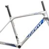 Giant TCR Advanced Pro Disc Carbon Medium Frameset - 2019