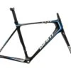 Giant TCR Advanced 2 Large Frameset - 2015
