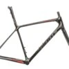 Giant TCR Advanced SL 0 Medium Frameset - 2019