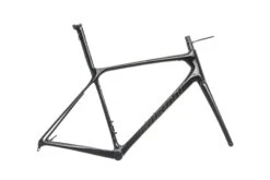 Giant TCR Advanced SL 0 Disc Med/Large Frameset - 2020