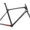 Giant TCR Advanced Pro Disc Med/Large Frameset - 2018