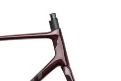 Giant TCR Advanced SL Disc Electronic Large Frameset - 2021 -Giant FRD11836 PH2 06 scaled