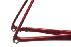 Giant TCR Advanced Pro 1 Disc Large Frameset - 2020 -Giant FRD11907 PH1 04 scaled