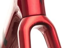 Giant TCR Advanced Pro 1 Disc Large Frameset - 2020 -Giant FRD11907 PH1 09 scaled