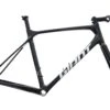 Giant TCR Advanced 2 Disc Pro Medium/Large Frameset - 2020
