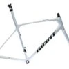 Giant TCR Advanced SL Med/Large Frameset - 2020
