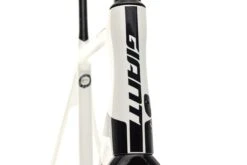 Giant TCR Advanced SL Disc Large Frameset - 2019 -Giant FRD12774 PH3 4 scaled