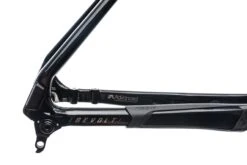Giant Revolt Advanced Pro X-Large Frameset - 2020 -Giant FTR10028 PH2 04 scaled