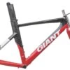 Giant Trinity Alliance Medium Frameset - 2009