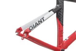 Giant Trinity Alliance Medium Frameset - 2009 -Giant FTT10042 BJ 06
