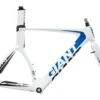 Giant Trinity Composite 2 Medium Frameset - 2012