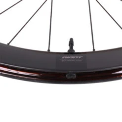 Giant SLR 1 Disc 50 Rear Wheel - 28" | Hookless | Carbon | Centerlock - 12x142 Mm - Shimano 8 Giant SLR 1 Disc 50 Rear Wheel - 28" | Hookless | Carbon | Centerlock - 12x142 Mm - Shimano -Giant detail1 1345581 1