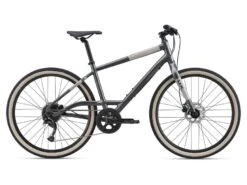 Giant Momentum UX (flatbar) (UX 9 Spd Der) 2021