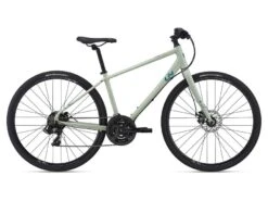 Giant Alight 3 DD Disc 2021