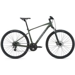 2021 Giant Roam 4 Disc GU Mountain Bike